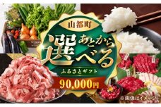 【あとから選べる】山都町ふるさとギフト 9万円分 米 牛肉 有機野菜 あか牛 馬刺し 定期便 山都 [YZX005]
