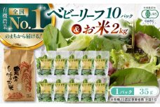 山都産ベビーリーフ350gとお米2kgのセット 有機野菜 産地直送 高原野菜 山都町産 有機JAS認証取得 国産 ベビーリーフ 野菜 サラダ 小分け お米 セット 【株式会社 清和ミネラル会】 [YBT012]