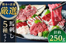 馬刺し 5種 盛り合わせセット 5人前 約250g 熊本直送 専用醤油付き 熊本馬刺し 冷凍 馬肉 馬刺 ヘルシー馬刺し ばさし 馬肉 小分け【株式会社Foody's】 [YDX001]