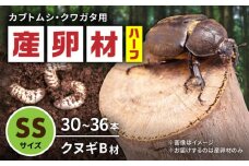 オリジナル産卵材 SSサイズ ハーフ カブトムシ クワガタ クヌギB材 【ふるさと昆虫】 [YDV014]