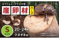 オリジナル産卵材 Ｓサイズ ハーフ カブトムシ クワガタ クヌギB材 【ふるさと昆虫】 [YDV015]