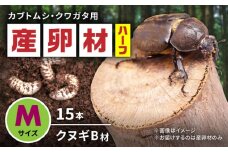 オリジナル産卵材 Mサイズ ハーフ カブトムシ クワガタ クヌギB材 【ふるさと昆虫】 [YDV016]