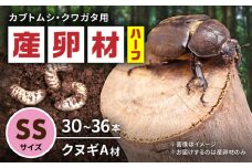 オリジナル産卵材 SSサイズ ハーフ カブトムシ クワガタ クヌギA材 【ふるさと昆虫】 [YDV019]