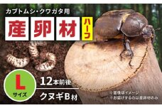 オリジナル産卵材 Lサイズ ハーフ カブトムシ クワガタ クヌギB材 【ふるさと昆虫】 [YDV017]
