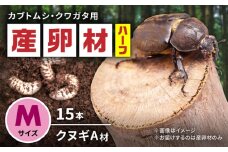 オリジナル産卵材 Mサイズ ハーフ カブトムシ クワガタ クヌギA材 【ふるさと昆虫】 [YDV021]