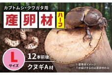 オリジナル産卵材 Lサイズ ハーフ カブトムシ クワガタ クヌギA材 【ふるさと昆虫】 [YDV022]