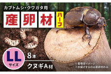 オリジナル産卵材 LLサイズ ハーフ カブトムシ クワガタ クヌギA材 【ふるさと昆虫】 [YDV023]