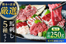 【全6回定期便】馬刺し 5種 盛り合わせセット 5人前 約250g 熊本直送【株式会社Foody’s】 [YDX006]