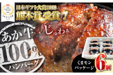くまモンあか牛ハンバーグセット 120g×6個【有限会社 三協畜産】 [YCG117]