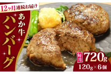 【全12回定期便】あか牛 100％ハンバーグ セット 120g×6個【有限会社 三協畜産】 [YCG181]