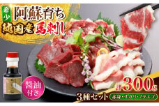 阿蘇馬 馬刺し3種(赤身・サガリ・フタエゴ)計300g (専用醤油付き150ml×1本)  熊本馬刺し 国産 熊本肥育 阿蘇肥育 純国産 冷凍 馬肉 馬刺 ヘルシー馬刺し ばさし 馬肉 小分け【山都町（阿蘇牧場）】 [YDF068]