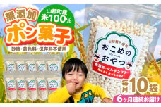 【全6回定期便】おこめのおやつ 10袋セット【株式会社キゴコロ】 [YDZ006]