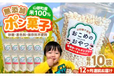 【全12回定期便】おこめのおやつ 10袋セット【株式会社キゴコロ】 [YDZ007]