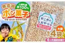 【全6回定期便】おこめのおやつ大袋 4袋セット【株式会社キゴコロ】 [YDZ012]