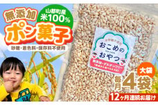 【全12回定期便】おこめのおやつ大袋 4袋セット【株式会社キゴコロ】 [YDZ013]