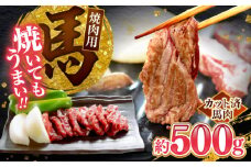 馬肉 焼肉用500g カット済 馬肉 熊本 焼き肉 馬焼き 焼き肉 焼肉 おすすめ部位 ヘルシー 低カロリー 熊本名物 馬焼き ばにく バーベキュー おうち焼肉 送料無料 【山都町（桜屋）】 [YBW124]