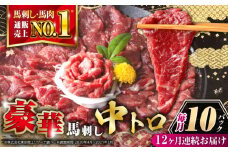 【全12回定期便】【熊本肥育】熊本ならでは！霜降り馬刺しをたっぷり楽しむセット 約500g 専用醤油付き 霜降り 中トロ 馬刺し 熊本 冷凍 馬肉 馬刺 ヘルシー 真空 パック 【株式会社 利他フーズ】 [YBX060]