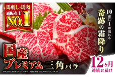 【全12回定期便】熊本県産 三角バラ 馬刺し 約100g 専用醤油付き 熊本 国産 冷凍 馬肉 馬刺 ヘルシー 真空 パック 奇跡 霜降り【株式会社 利他フーズ】 [YBX059]