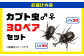 カブトムシ 30ペアセット 国産カブトムシ 生体 オス メス 60匹 成虫 昆虫 多頭飼育 ブリード 送料無料 熊本県 山都町