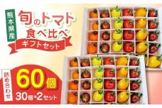 【期間限定】熊本県産 減農薬栽培 トマト ミディトマト 詰め合わせ 30個×2セット 計60個 食べ比べ ギフトセット 産地直送【矢仁田農園】 [YDE014]