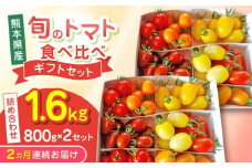 【全2回定期便】【期間限定】熊本県産 減農薬栽培 トマト ミディトマト 詰め合わせ 800g×2セット 計1600g 食べ比べ ギフトセット 産地直送【矢仁田農園】 [YDE018]