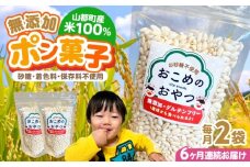 【全6回定期便】おこめのおやつ 2袋セット【株式会社キゴコロ】 [YDZ021]