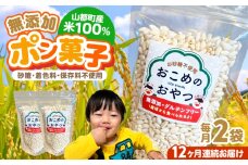 【全12回定期便】おこめのおやつ 2袋セット【株式会社キゴコロ】 [YDZ022]