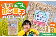 【全3回定期便】おこめのおやつ大袋 1袋【株式会社キゴコロ】 [YDZ023]