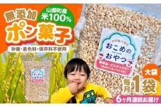 【全6回定期便】おこめのおやつ大袋 1袋【株式会社キゴコロ】 [YDZ024]