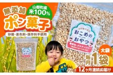 【全12回定期便】おこめのおやつ大袋 1袋【株式会社キゴコロ】 [YDZ025]
