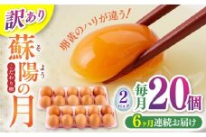 【全6回定期便】【訳あり】【不揃い】熊本県産 蘇陽の月 20個入り ( 10個入り × 2パック ) 山都町 たまご 卵【蘇陽農場】 [YBE039]