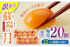 【全12回定期便】【訳あり】【不揃い】熊本県産 蘇陽の月 20個入り ( 10個入り × 2パック ) 山都町 たまご 卵【蘇陽農場】 [YBE040]