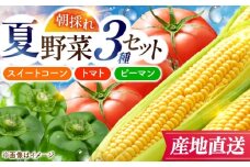 野菜セット (トマト ピーマン スイートコーン 各6個) トマト Lサイズ ピーマン Lサイズ 山都町産 熊本 産地直送 【大浜農園】 [YCE004]