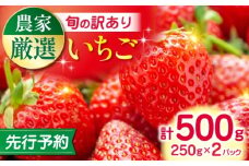 【先行予約】【2025年12月より順次発送】【訳あり】いちご 食べ比べ セット 4品種 計500g ( 250g × 2P ) 農園直送 産地直送 熊本県産 山都町産 イチゴ 苺 ストロベリー フルーツ 果物 【なかはた農園】 [YBI059]