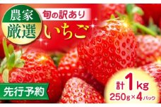 【先行予約】【2025年12月より順次発送】【訳あり】いちご 食べ比べ セット 4品種 計1000g ( 250g × 4P ) 農園直送 産地直送 熊本県産 山都町産 イチゴ 苺 ストロベリー フルーツ 果物 【なかはた農園】 [YBI060]