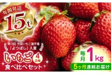 【先行予約】【2025年12月より順次発送】【全5回定期便】いちご 4品種 食べ比べ セット 250g×4P 【なかはた農園】 [YBI061]