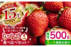 【先行予約】【2025年12月より順次発送】【全5回定期便】いちご 4品種 食べ比べ セット 250g×2P【なかはた農園】 [YBI062]