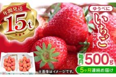 【先行予約】【2025年12月より順次発送】【全5回定期便】ゆうべに いちご  セット 250g×2P【なかはた農園】 [YBI063]