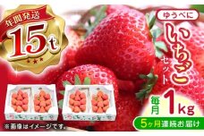 【先行予約】【2025年12月より順次発送】【全5回定期便】ゆうべに いちご セット 250g×4P【なかはた農園】 [YBI064]