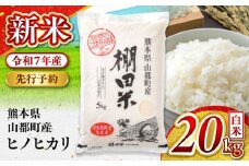 【先行予約】【11月より順次発送】令和7年度産 新米 棚田米 ヒノヒカリ 白米 20kg【栗崎米穀】 [YEA004]