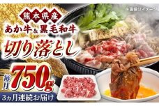 【全3回定期便】熊本県産 くまもと黒毛和牛 あか牛 ミックス 切り落とし 750g 牛肉【熊本県畜産農業協同組合】 [YAD036]