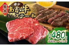 熊本 あか牛 ミニステーキ 約480g（約120g×4枚） 熊本県産 国産 和牛 赤牛 ステーキ【合同会社 たべたせいか】 [YAQ028]