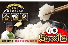 【先行予約】【11月より順次発送】令和7年産 米作り名人完ちゃんの合鴨米 白米 5kg 栽培期間中農薬化学肥料不使用 [YCT011]
