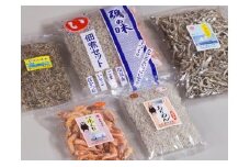 B109-13 特選　海からの贈り物