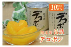B9-13 デコポン缶詰（10缶入）