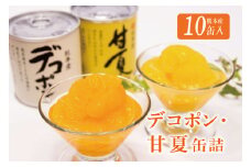 B10-13 デコポン・甘夏缶詰セット（10缶入）