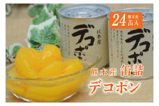 B29-26 デコポン缶詰（24缶）