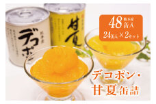 B34-50 デコポン、甘夏缶詰（48缶）
