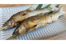 B151-13 天然アユ（500ｇ）