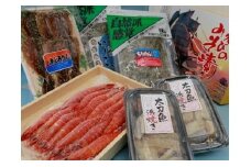B107-20 海のおつまみやみつきセット